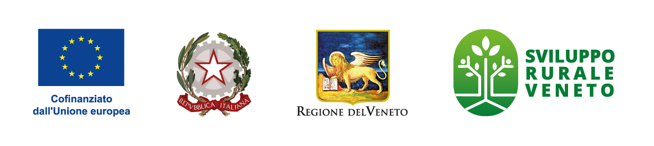 loghi patrocini